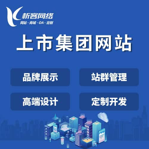 来宾上市集团网站定制