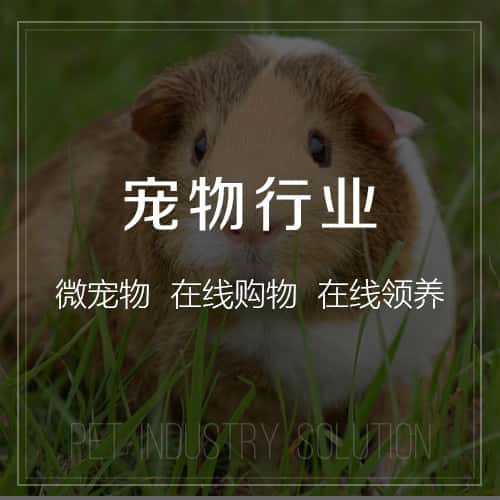 来宾宠物