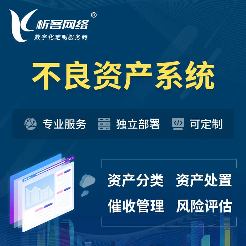 来宾不良资产管理系统